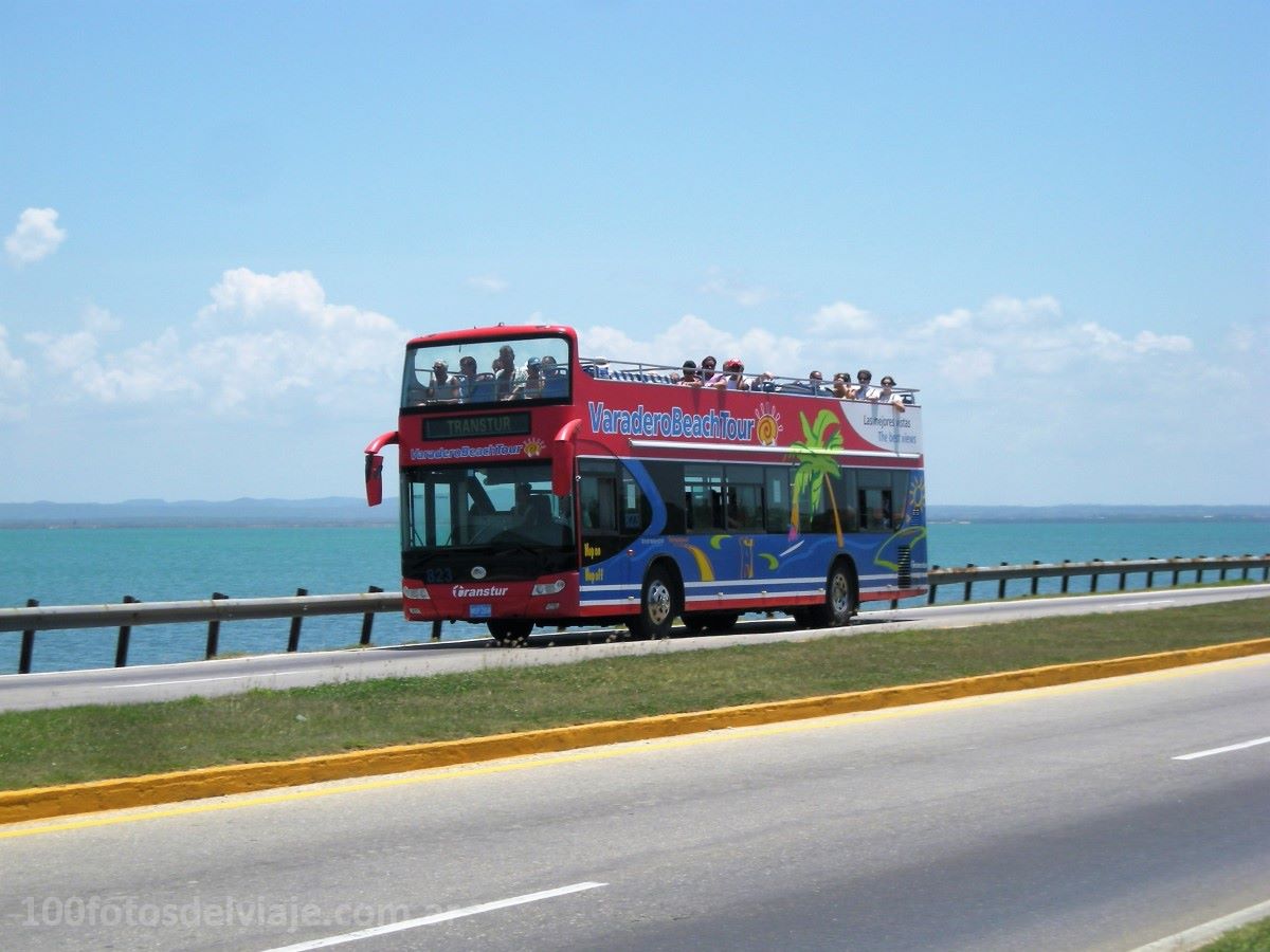 Bus Turístico