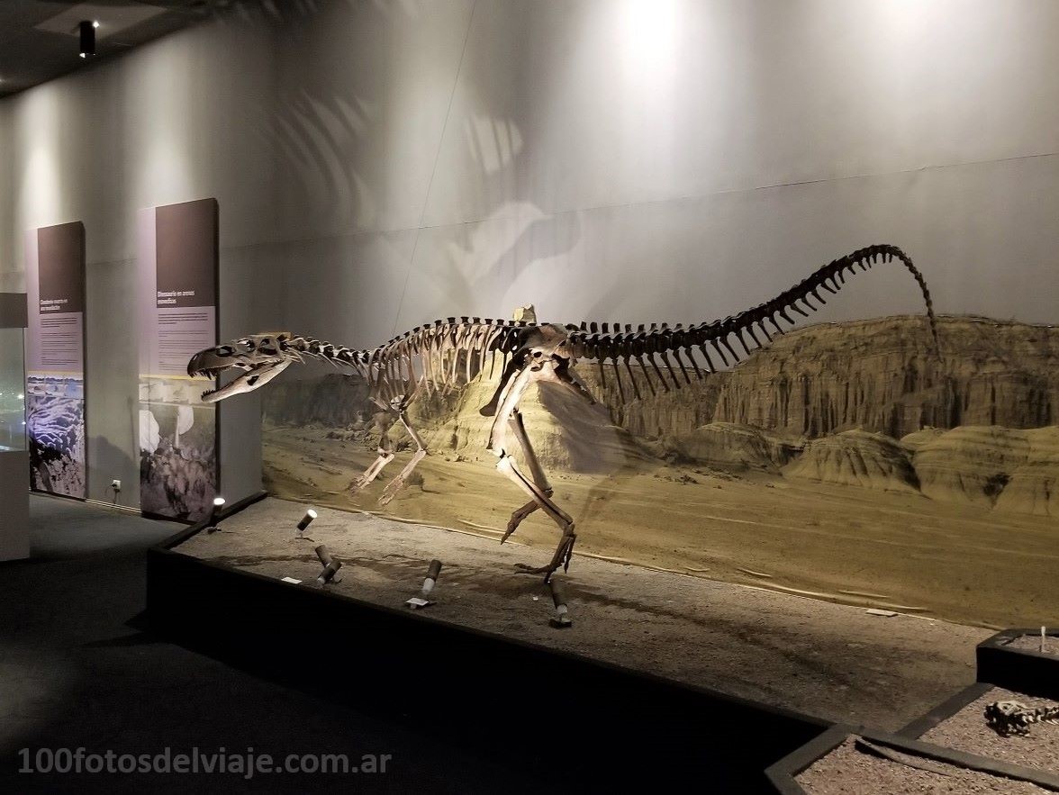 Museo Paleontológico y temático natural Ischigualasto